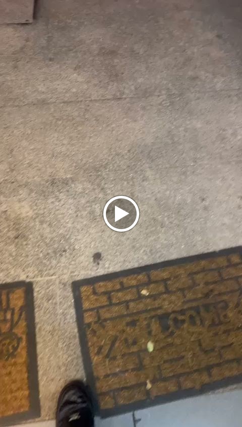 Punjab Kebab Restaurante Indian Cuisine-2